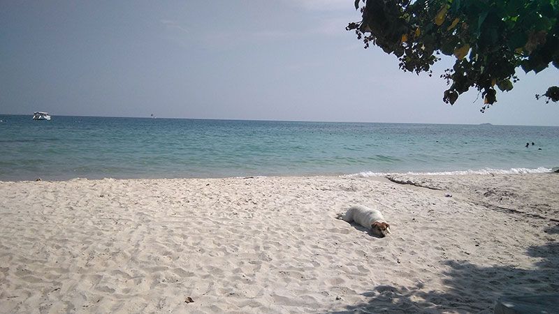 KohSamet2