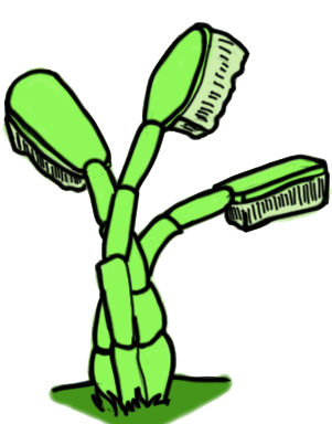 Cepillos de bambu