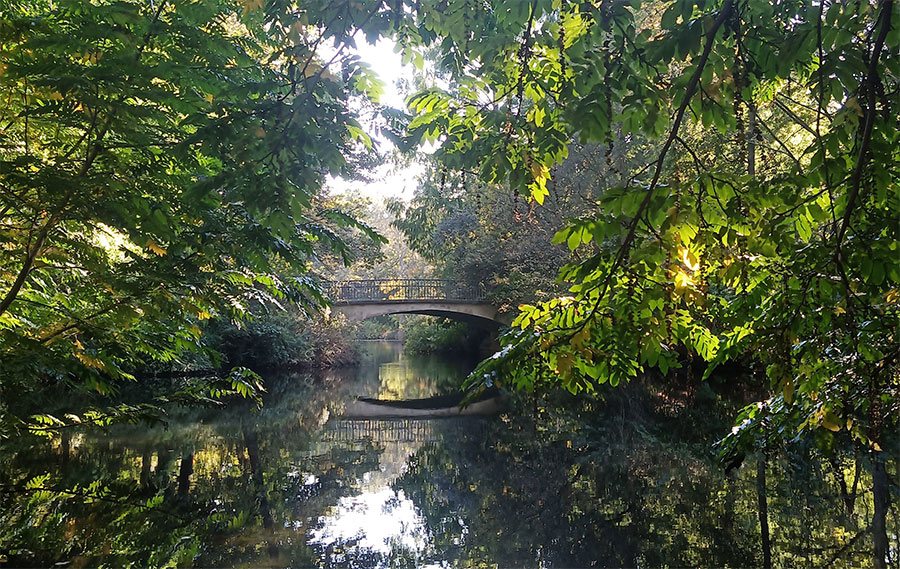 Berlin110-min Tiergarten